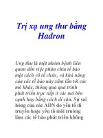 Trị xạ ung thư bằng Hadron pptx