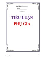 Tiểu luận: Phụ gia ppsx
