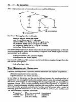 The grammar book teacher course part 29 docx