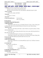 giao an tieng anh very hot