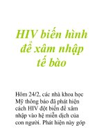 HIV biến hình để xâm nhập tế bào ppsx