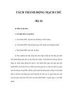 TÁCH THÀNH ĐỘNG MẠCH CHỦ (Kỳ 6) ppsx