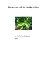 Bốn cách chữa bệnh đơn giản bằng lá chanh potx