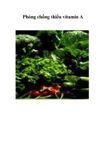 Phòng chống thiếu vitamin A pot