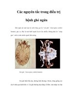 Các nguyên tắc trong điều trị bệnh ghẻ ngứa pdf