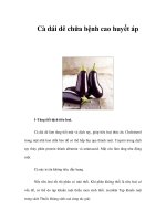 Cà dái dê chữa bệnh cao huyết áp pps