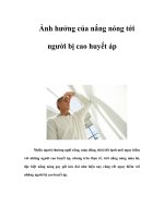 Ảnh hưởng của nắng nóng tới người bị cao huyết áp ppt
