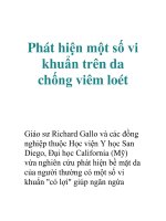 Phát hiện một số vi khuẩn trên da chống viêm loét pot