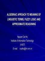 algebraic aproach to meaning of  linguistic terms, fuzzy logic and  approximate reasoning