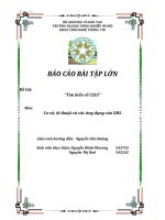 bài báo cáo về tìm hiểu CSS3