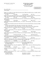 KT 1-12-KII-2009-20010-MĐ 219