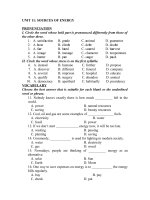 UNIT 11_ SOURCES OF ENERGY.doc