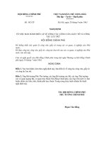 Nghị định số 142-CP do Hội đồng Chính phủ ban hành docx