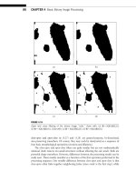 The Essential Guide to Image Processing- P4 pdf