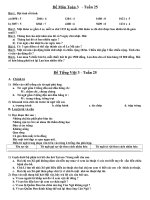 Đề ôn luyện toán + TV lớp 3 tuần 25