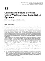 Wireless địa phương vòng - lý thuyết và ứng dụng P13 pps