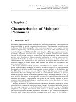 Điện thoại di động vô tuyến điện - Tuyên truyền Channel P5 pps