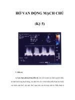 HỞ VAN ĐỘNG MẠCH CHỦ (Kỳ 5) pptx