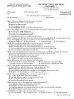 Kiểm tra 15 phut lan 2