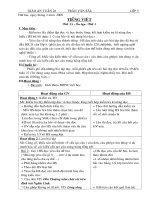 GIAO AN LOP 5 TUAN 28 DA CHINH SUA