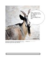 truyen hay ( cam tre duoi 18 tuoi )