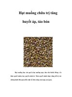 Hạt muồng chữa trị tăng huyết áp, táo bón pdf