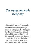 Các trạng thái nước trong cây doc