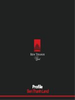 ben thanh land profile 2011