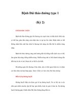 Bệnh Đái tháo đường type 1 (Kỳ 2) doc