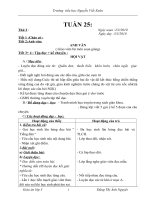 Giáo án Lớp 3-Tuần 25-CKT