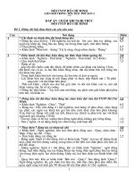 thi nghi thức đội