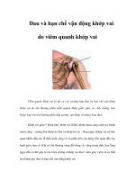 Đau và hạn chế vận động khớp vai do viêm quanh khớp vai pdf