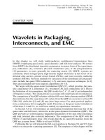 Wavelets trong Electromagnetics và mô hình thiết bị P8 ppsx