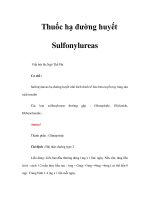 Thuốc hạ đường huyết Sulfonylureas doc