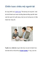 Chiến lược chiêu mộ người tài potx