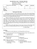 đề thi GHKII Đọc hiểu lớp 4 đề số 2