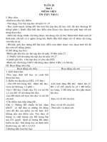 GIÁO ÁN LỚP 4 TUẦN 28 (CKTKN)