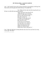 Đề môn Văn khối D năm 2003