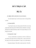 SUY THẬN CẤP (Kỳ 2) potx