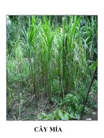 tranh tnxh lop 2.bai 22