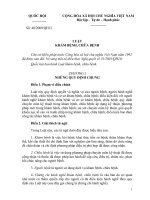 Luật số 40/2009/QH12 của Quốc hội doc