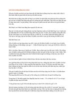 Lệnh bán tự động pdf