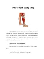 Đau do bệnh xương khớp docx