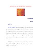 BỆNH LÝ VÕNG MẠC TRÊN BỆNH ĐÁI THÁO ĐƯỜNG pps