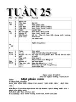 Giao an lop 2 CKTKN tuan 24