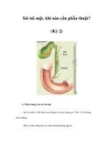 Sỏi túi mật, khi nào cần phẫu thuật? (Kỳ 2) 4. Triệu chứng của sỏi túi mật ppsx