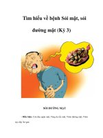 Tìm hiểu về bệnh Sỏi mật, sỏi đường mật (Kỳ 3) pot