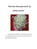 Nấm kim châm giảm huyết áp, phòng ung thư pdf