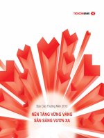 báo cáo thường niên năm 2013 ngân hàng techcombank