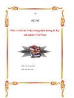 Tiểu luận “Phát triển kinh tế thị trường định hướng xã hội chủ nghĩa ở Việt Nam” pdf